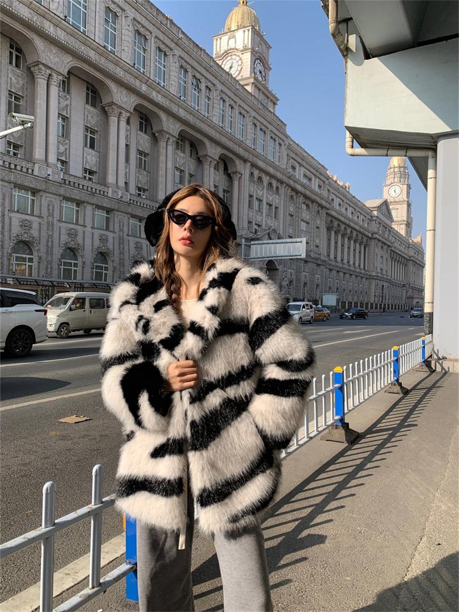 Zebra Environmental Protection - WGLUVF