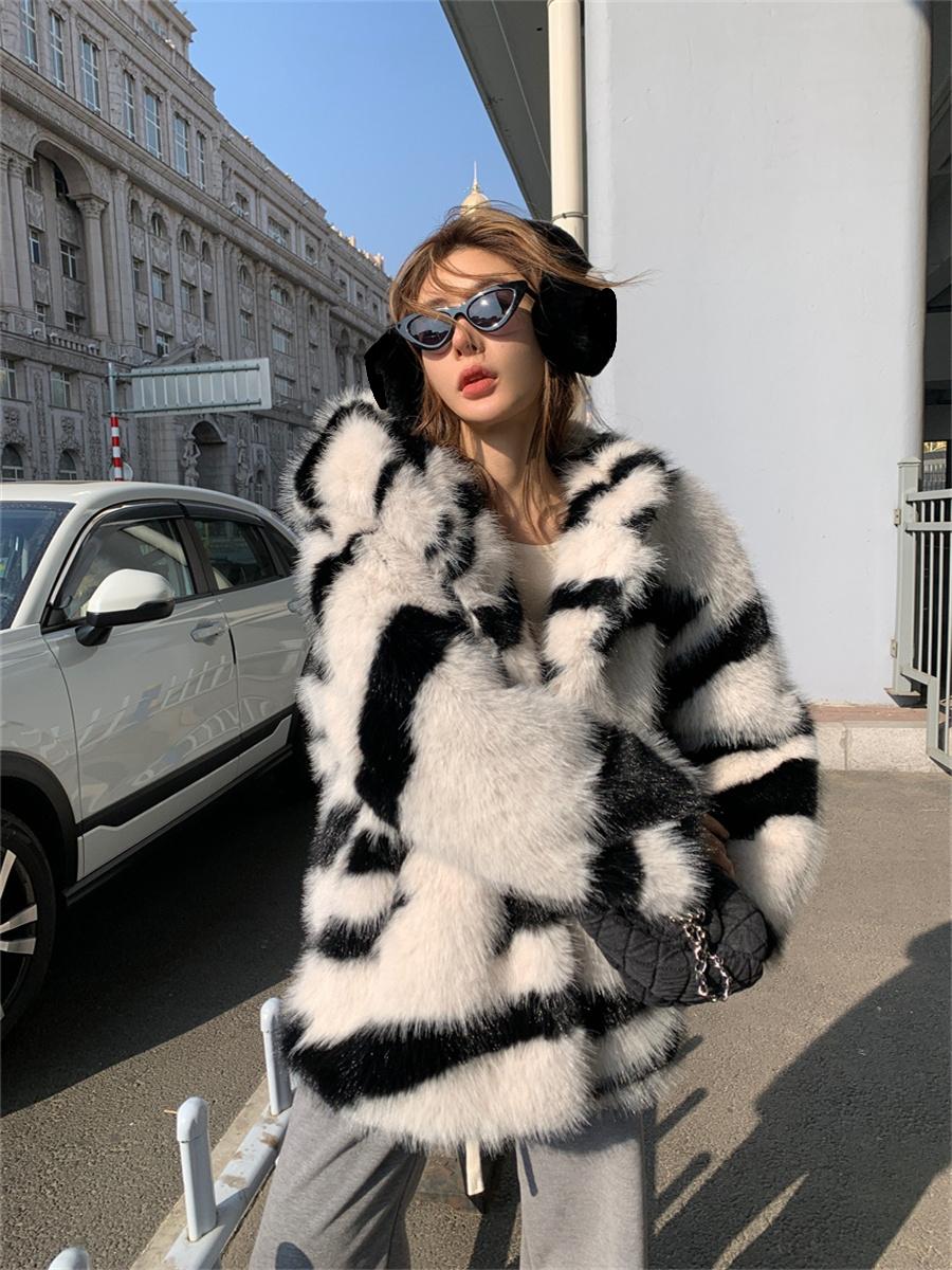 Zebra Environmental Protection - WGLUVF