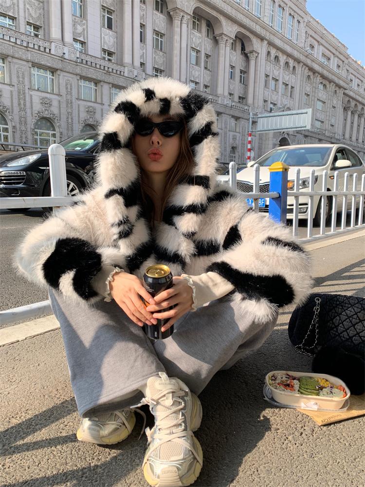 Zebra Environmental Protection - WGLUVF