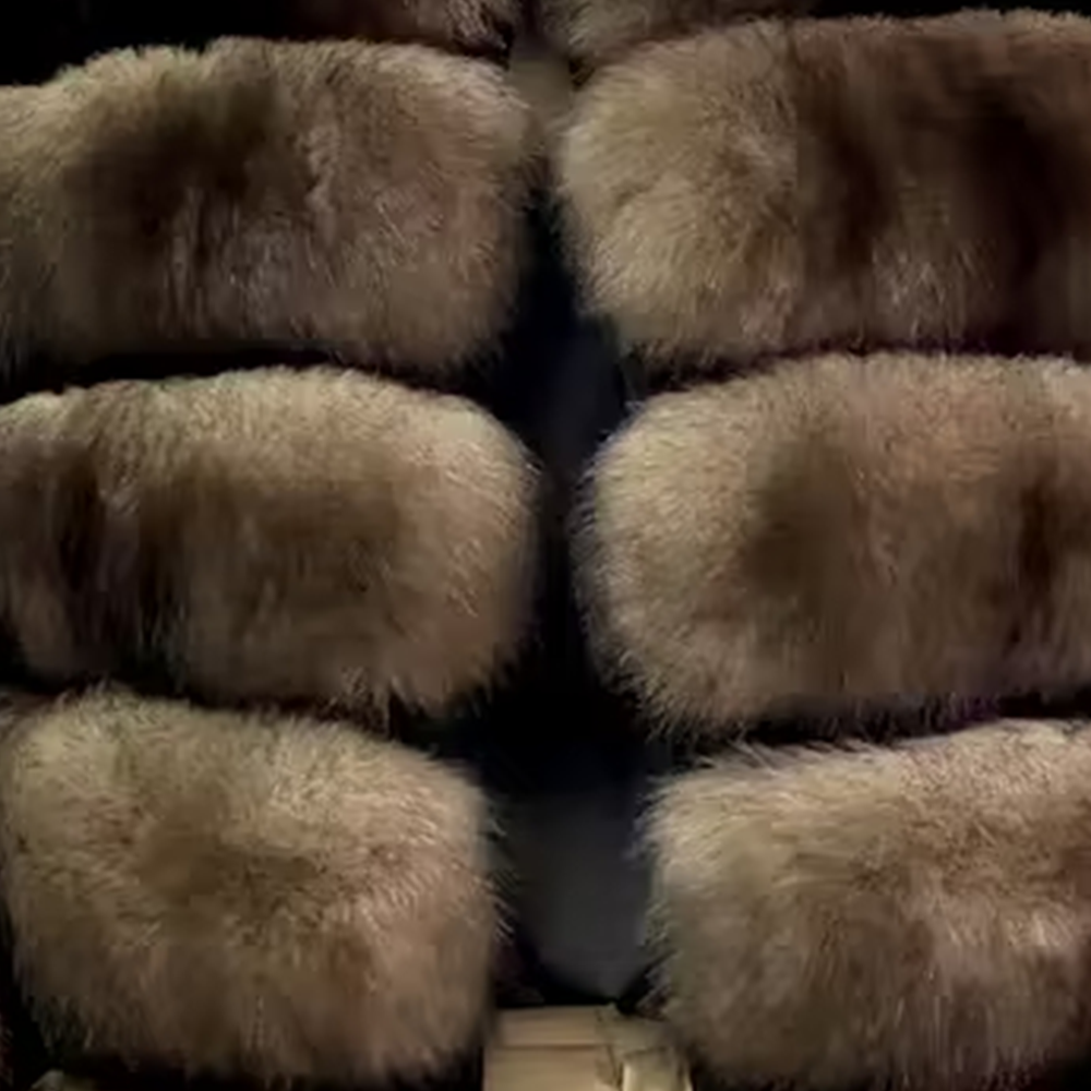 Fox vertical hooded jacket - WGLUVF