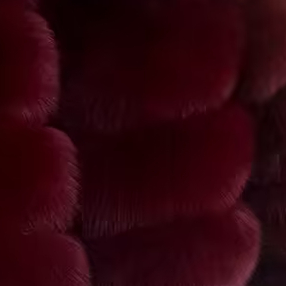 Fox vertical hooded jacket - WGLUVF