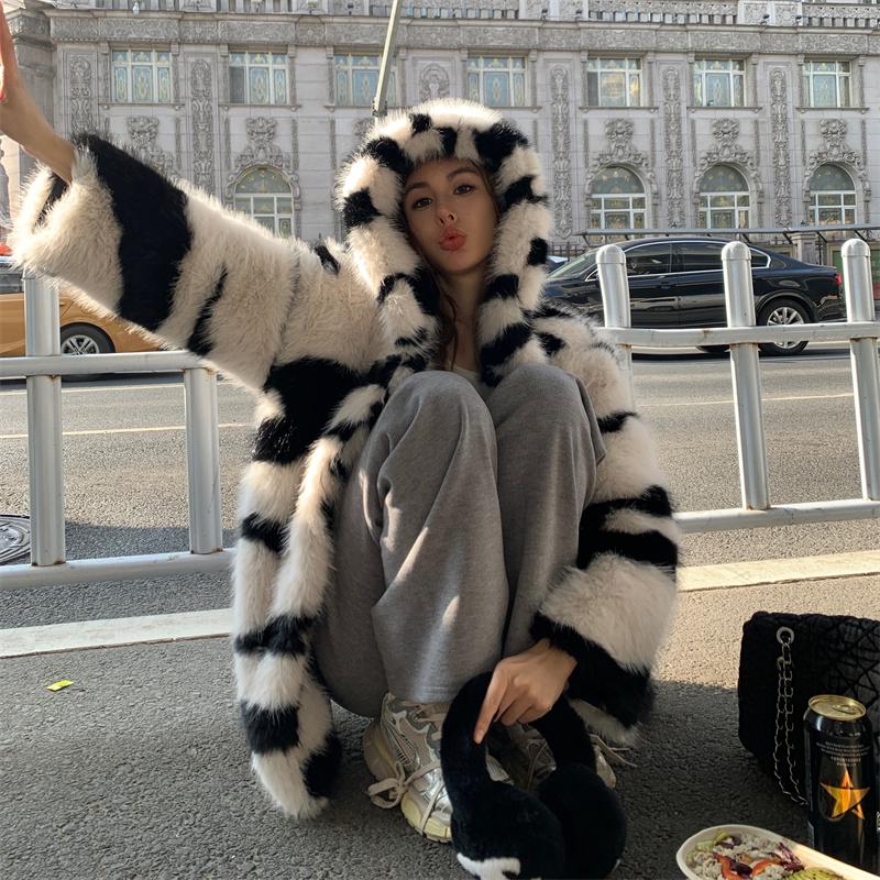 Zebra Environmental Protection - WGLUVF