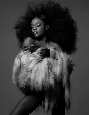 Aesthetic Fur Coats For Winter 2024/2025 - WGLUVF