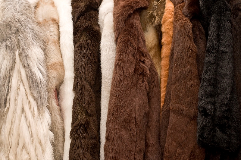 Natural fur is inseparable from the environment