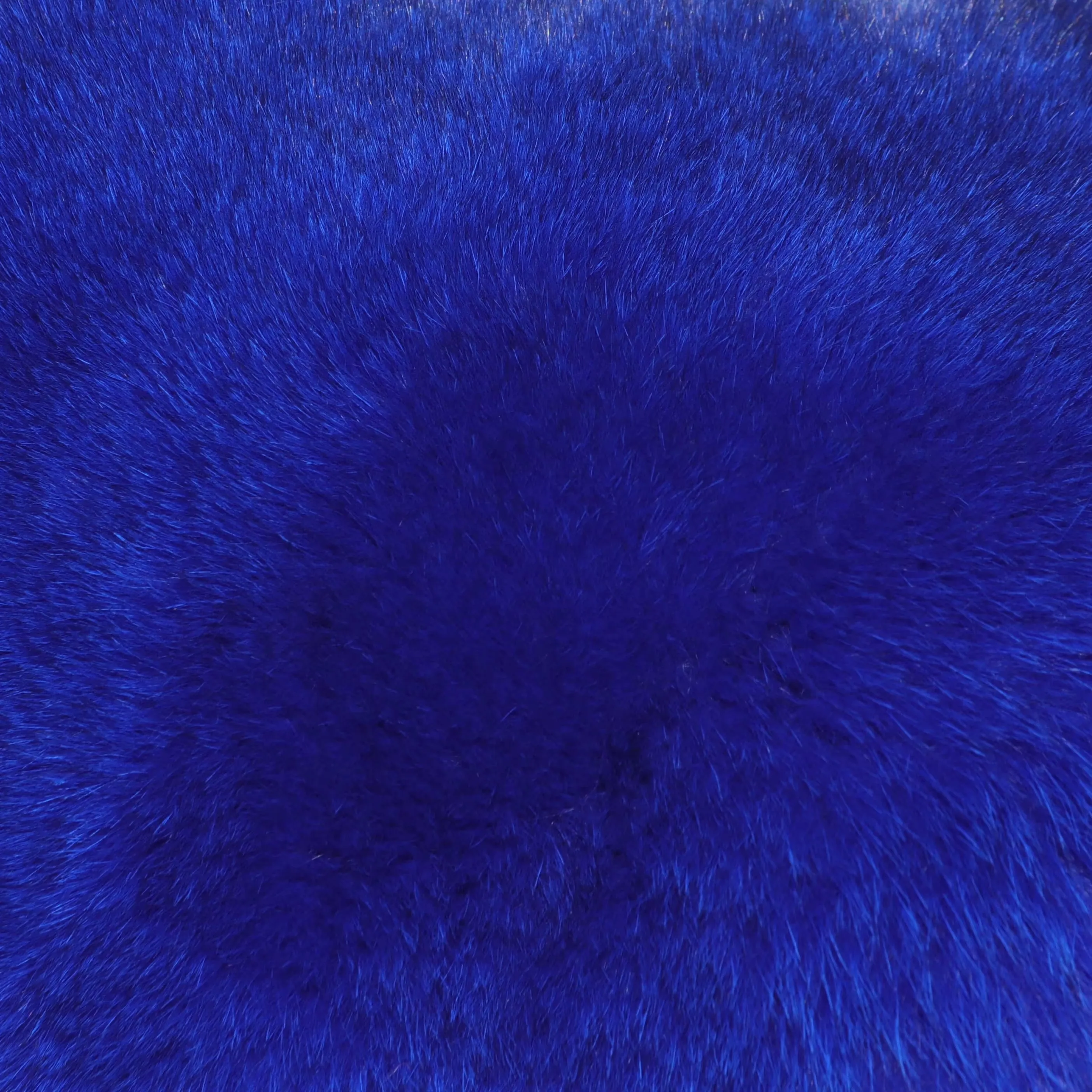 Winter fox fur grows long and thick - WGLUVF