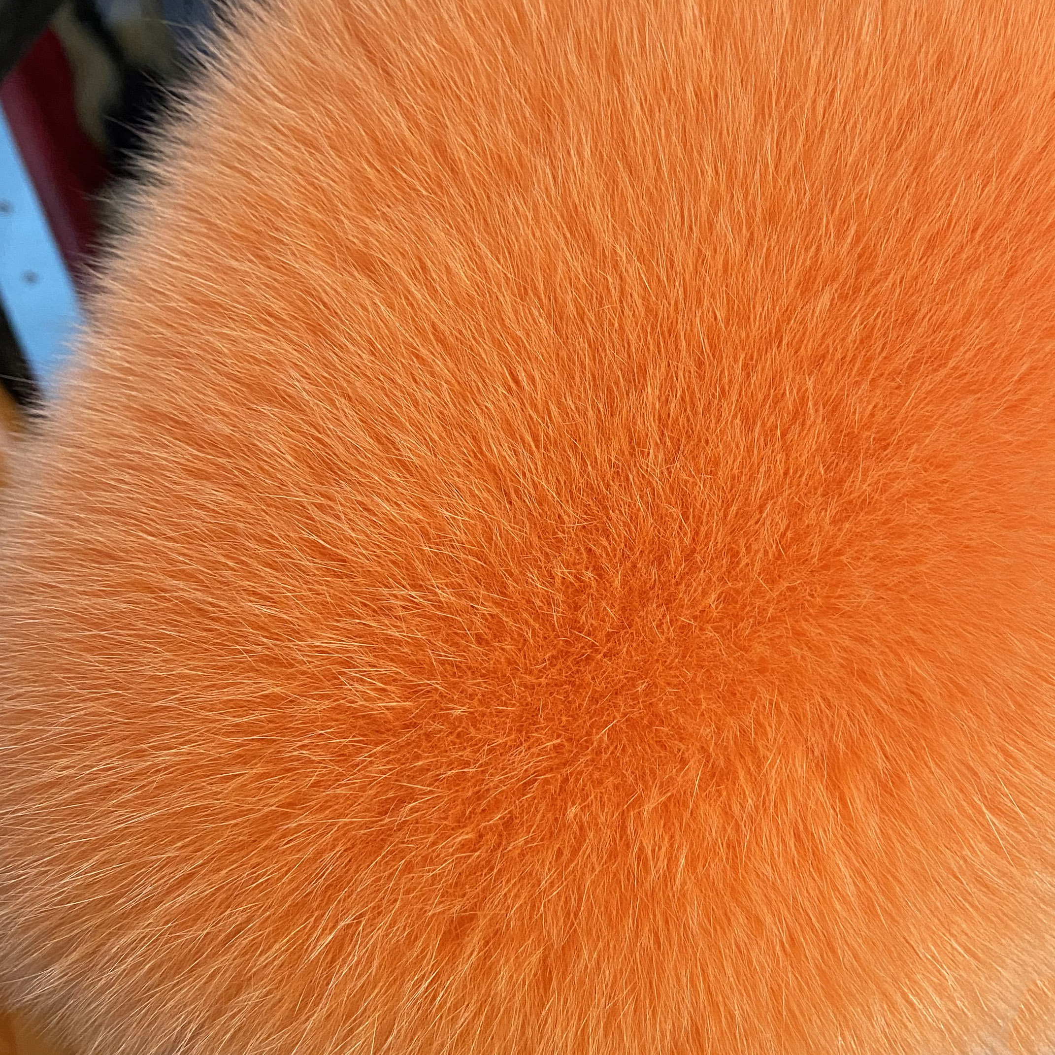 Winter Fashion Elastic Headband Fox Fur Headwear Racccoon Fur Women's Fluffy Real Fur Band - WGLUVF